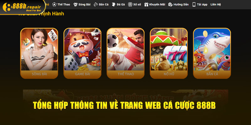 Tổng hợp thông tin về trang web cá cược 888b